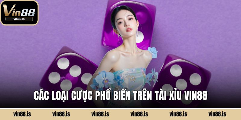 Các loại cược phổ biến trên tài xỉu Vin88