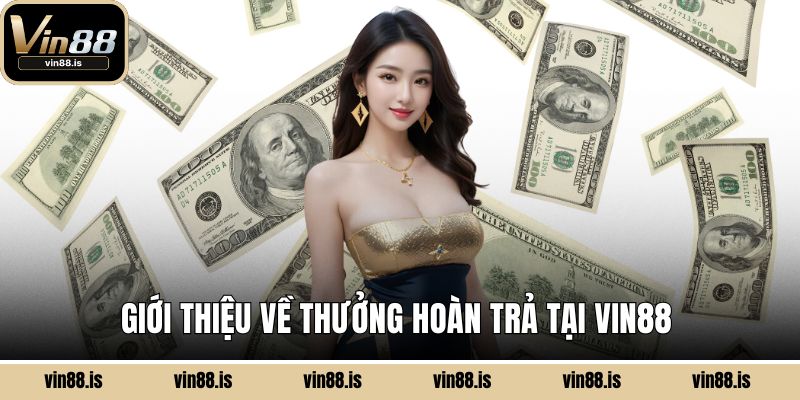Giới thiệu về thưởng hoàn trả tại Vin88