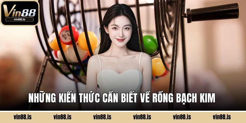 Những kiến thức cần biết về Rồng Bạch Kim